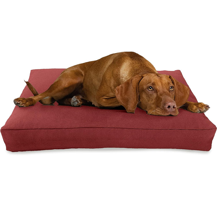 Bean Products Premium Organic Hemp Dog Bed Certipur Fill Removeable Cover Environmentally Friendly Removable Cover